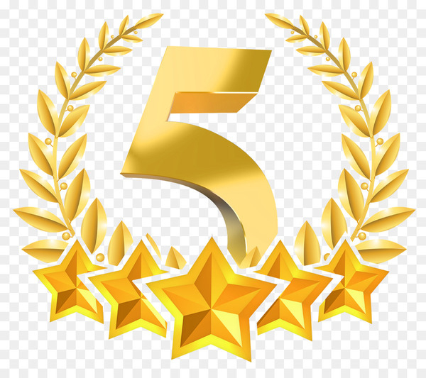 5 star,customer service,home care service,hospital,service,health care,customer,medicine,star,hotel,five star call drivers  travels,medicaid,united states,leaf,commodity,symbol,yellow,line,png