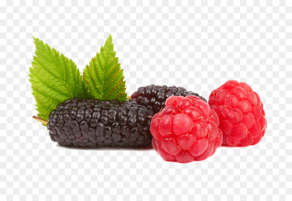 raspberry,boysenberry,frutti di bosco,strawberry,tayberry,fruit,forest berry,mulberry,food,natural foods,rooting,blackberry,superfood,berry,png
