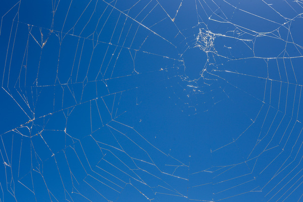 sky,background,blue,concentric,geometric,orb,shape,silk,spider,spiders,web,woven