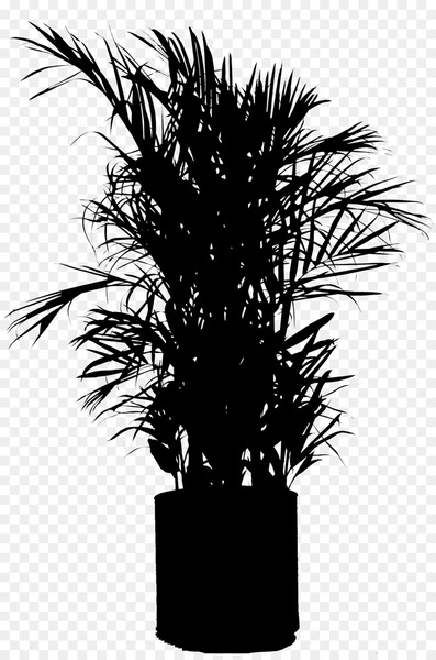 asian palmyra palm,flowerpot,houseplant,silhouette,plant stem,plants,branching,borassus,tree,plant,palm tree,arecales,woody plant,flower,grass,trunk,blackandwhite,yucca,png