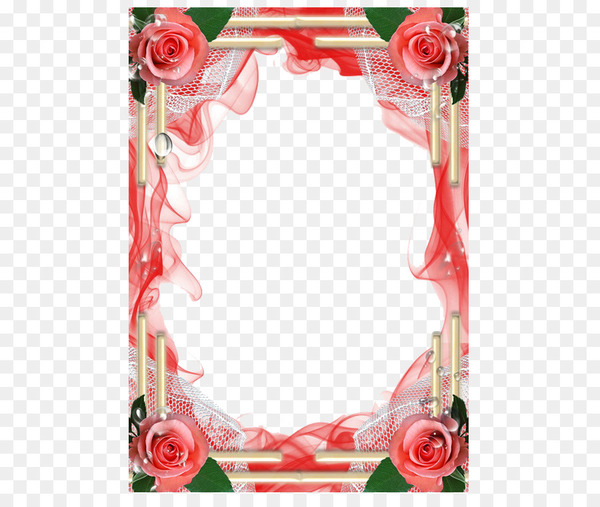 picture frame,photography,garden roses,ansichtkaart,image sharing,vignette,flower,petal,line,red,png
