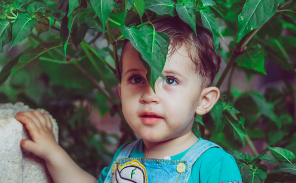 baby,boy,child,cute,innocence,kid,leaves,little,person,portrait,son,Syria,toddler,Free Stock Photo