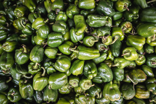 filled frame,green,pepper,vegetables