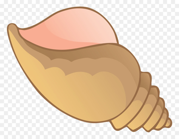seashell,conch,drawing,cartoon,royaltyfree,queen conch,encapsulated postscript,nose,lip,mouth,food,chocolate ice cream,ear,png