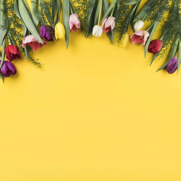Free: Decoration of colorful tulips on yellow background with space for  writing the text 