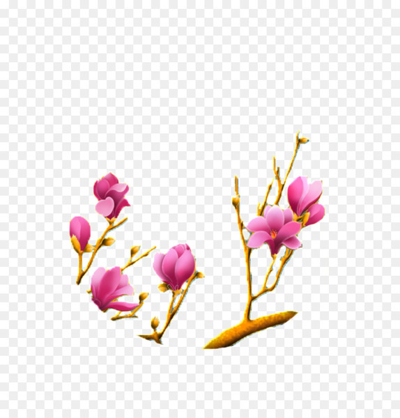 yulan magnolia,magnolia liliiflora,chinese magnolia,rgb color model,gongbi,magnolia,painting,color,flowering plant,flower,plant,petal,pink,branch,bud,botany,spring,blossom,magnolia family,cut flowers,moth orchid,twig,cherry blossom,perennial plant,png