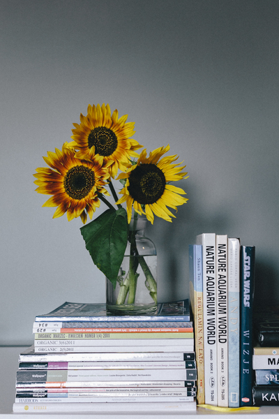 flower,magazines,books,sunflower,indoor