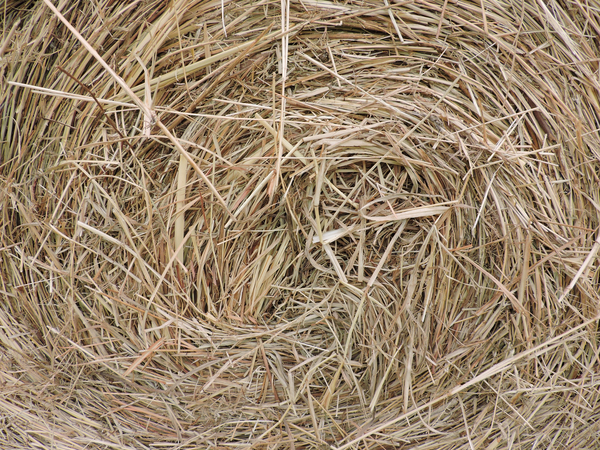 cc0,c1,hay bale,farm,closeup,round,bale,feed,agriculture,free photos,royalty free