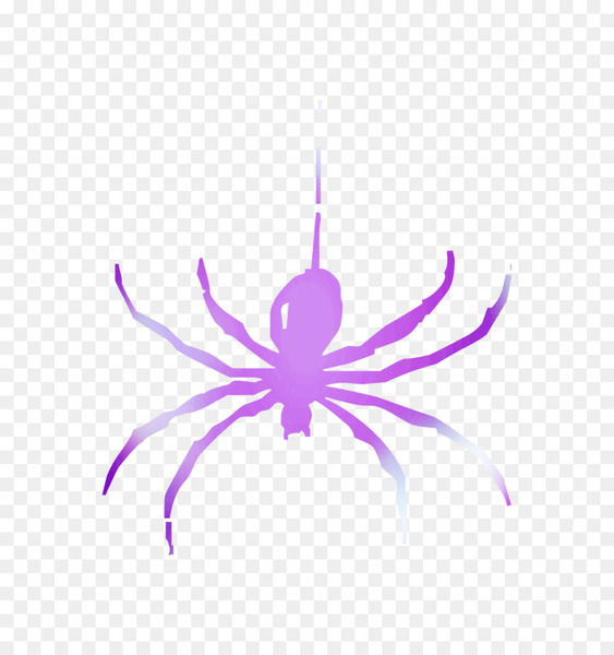 symbol,meaning,information,insect,sign semiotics,number,spider,sign,text,western black widow,whats your sign inc,desktop wallpaper,love,fly,widow spiders,violet,purple,pink,invertebrate,line,organism,symmetry,magenta,graphic design,png