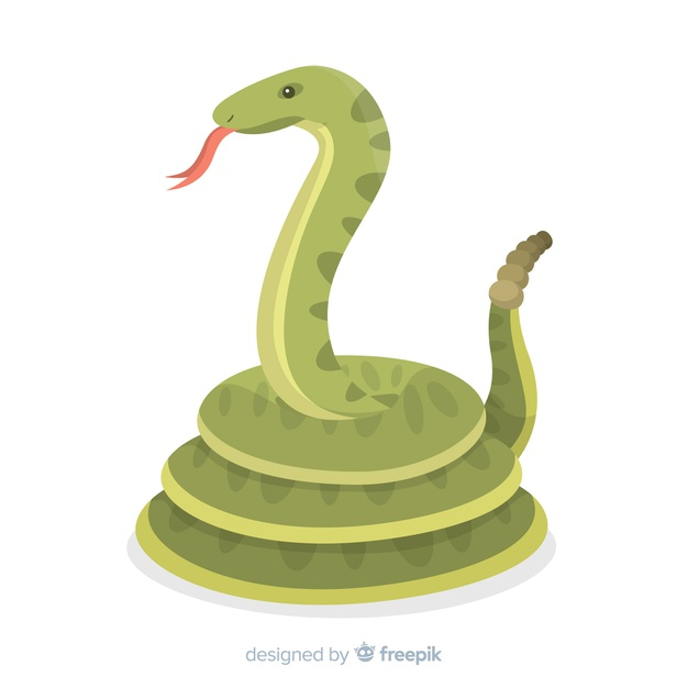 Snake Cobra Images  Free Photos, PNG Stickers, Wallpapers & Backgrounds -  rawpixel