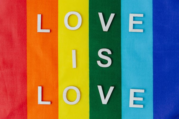  pride,lgbtq,lgbtqia,gay pride,pride flag, love is love