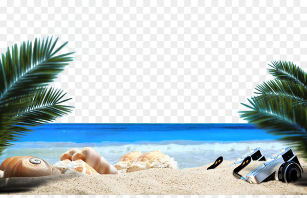 ocean beach,sandy beach,beach,sea,plant,gratis,graphic design,designer,vecteur,picture frame,computer wallpaper,sky,vacation,png