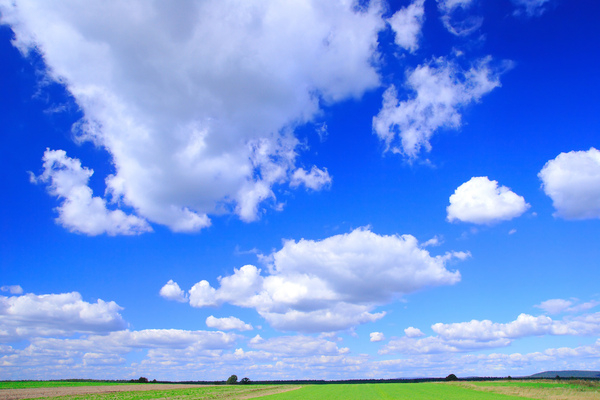 Free: Green field - Landscape green grass, blue sky and white clouds -  