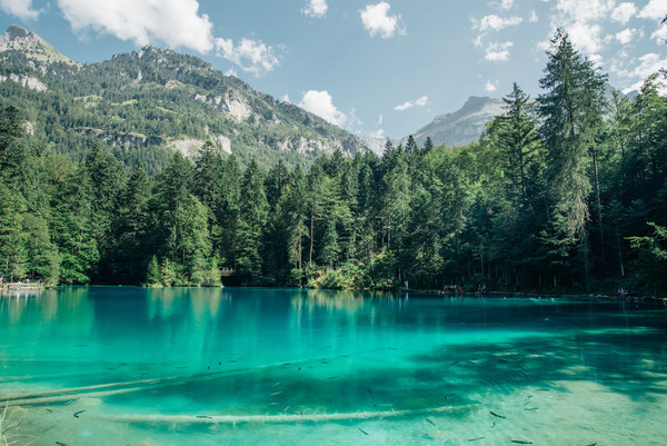 alps,clear water,clouds,lake,mountain,reflection,sky,transparent,trees