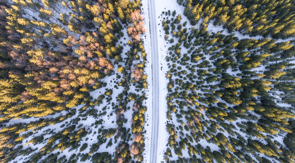 nature,landscape,aerial,woods,forest,green,trees,plants,snow,winter,cold,weather,road,travel,adventure