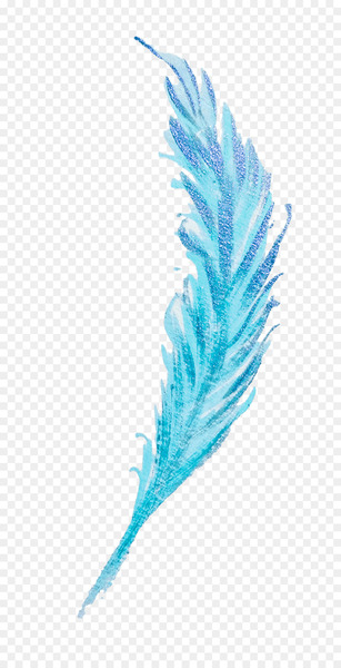 feather,watercolor painting,peafowl,graphic design,color,quill,desktop wallpaper,blue,turquoise,plant,fashion accessory,writing implement,png