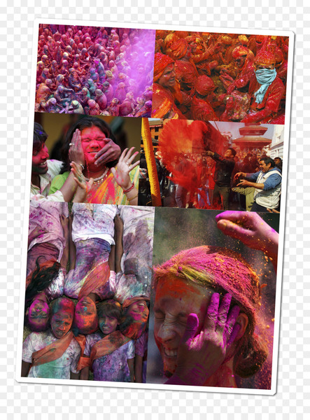 pink,purple,magenta,violet,festival,art,collage,petal,holi,png