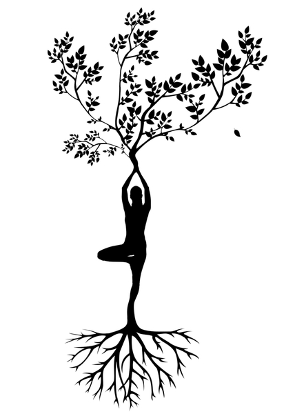 silhouette,women,tree,yoga,meditation,harmony,woman tree,gym,girl,fairy,human,pose yoga,pose of the tree,body,relaxation,inspiration,lifestyle,training,wellness,sport,relax,energy,force,vitality,natural,bless you,buddha,buddhism,zen,ecological,exercise,femininity,leaves,nature,people,person,position,posture,roots,branches,stretch,green,beautiful,vegetation,sun,cat,yin yang,holistic