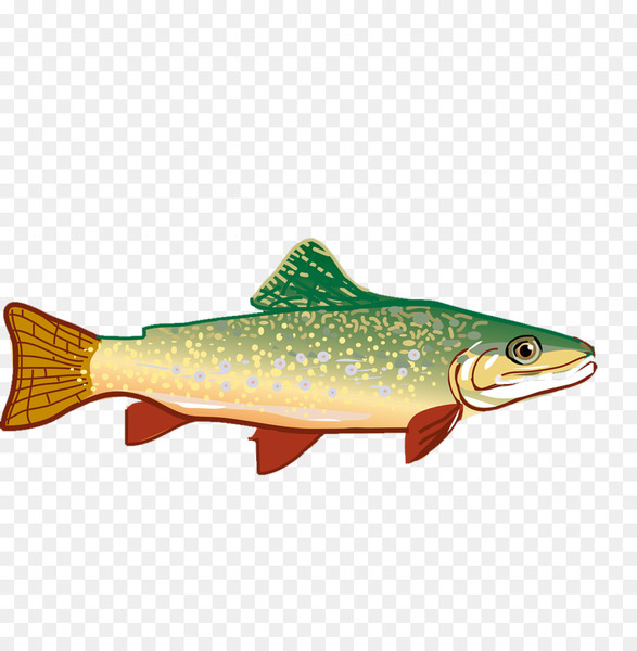 Free: Rainbow trout Clip art - Hand-painted small fish 