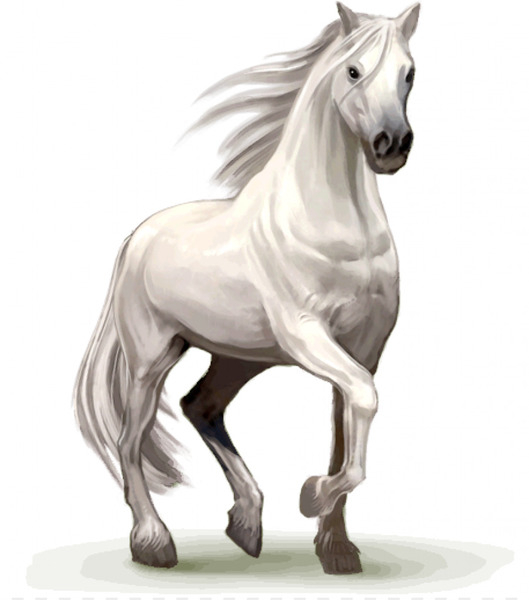 howrse,horse,stallion,desktop wallpaper,computer icons,white horse,android,unicorn,film,equestrian centre,horse breeding,mare,pony,livestock,pack animal,horse like mammal,mustang horse,mane,png