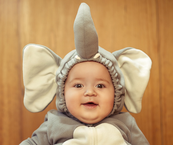 elephant,cute,baby,costume,humor,indoors,looking,2015,6 11 months,animal,babies only,baby clothing,caucasian ethnicity,cheerful,close up,copy space,dressing up,fun,happiness,horizontal,people,photography,playful,playing,portrait,small,smiling,toddler