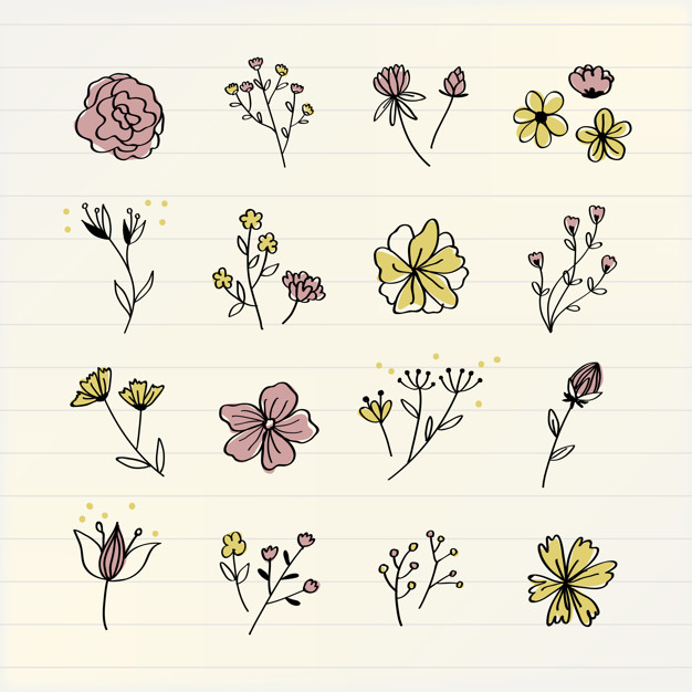 symbolic,scribbled,mixed,lined,cultivation,various,illustrated,colored,artwork,beige background,set,beige,collection,graphic background,drawn,flora,background color,beautiful,background yellow,blossom,background pink,fresh,element,cream,cartoon background,line art,cute background,symbol,background flower,drawing,flower background,decoration,plant,colorful background,sketch,shape,yellow,notebook,graphic,doodle,color,spring,art,cute,hand drawn,pink,cartoon,nature,floral background,line,hand,icon,flowers,floral,flower,background