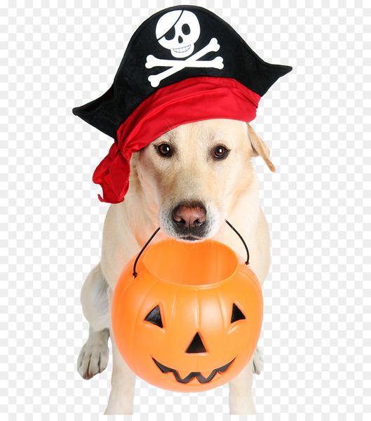 Free: The Dog Who Saved Halloween Bad Pets: True Tales of Misbehaving Animals Bad Pets Save Christmas! - Halloween Pirate Dog - nohat.cc