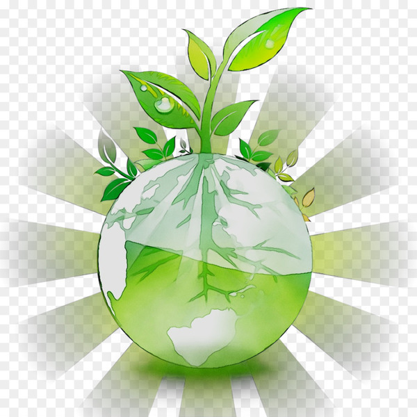 natural environment,reuse,water,water scarcity,recycling,sustainability,wastewater,environmental issue,world environment day,pollution,climate change,green,plant,leaf,fruit,png