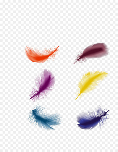 floating feather,feather,encapsulated postscript,drawing,royaltyfree,shutterstock,pink,close up,eyelash,petal,lip,png