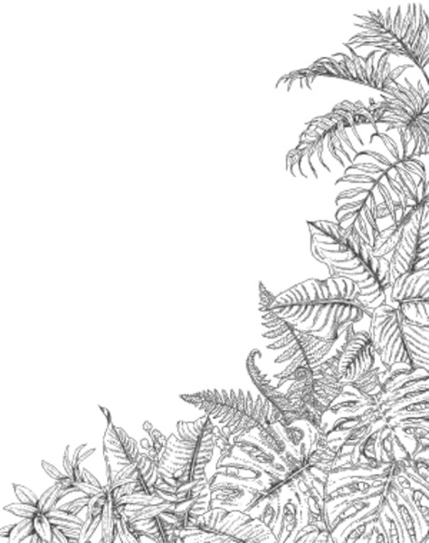palm leaf coloring page printable