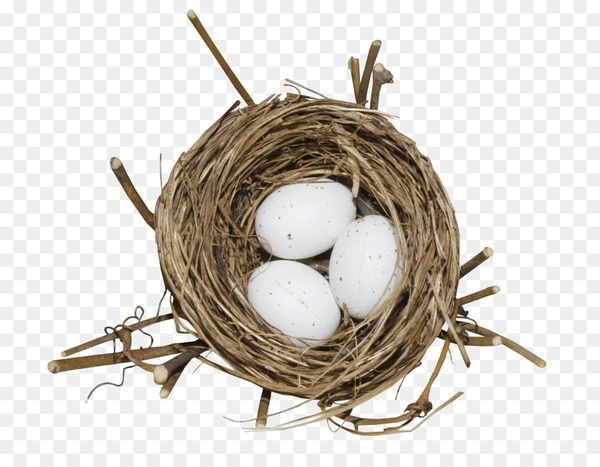 Golden Egg In A Nest With Leaves PNG Images