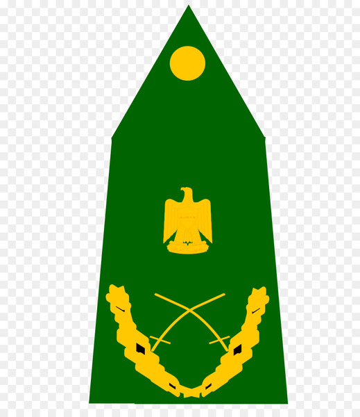 iraq,military rank,iraqi army,iraqi armed forces,general,military,army,lieutenant general,major general,soldier,angkatan bersenjata,army officer,ayad futayyih alrawi,green,yellow,vertebrate,leaf,amphibian,frog,grass,area,line,tree,tree frog,triangle,png