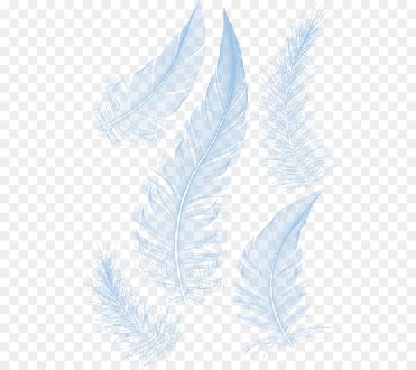 feather,white,white feather,download,encapsulated postscript,color,gratis,ganso,wing,line,png