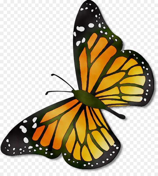 25,001 Butterfly Clipart Royalty-Free Images, Stock Photos & Pictures