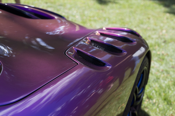 automobile,automotive,car,car hood,close-up,grass,purple,vehicle,Free Stock Photo