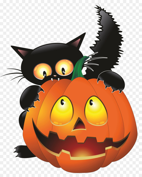 cat,halloween,encapsulated postscript,pumpkin,jackolantern,black cat,halloween costume,whiskers,small to medium sized cats,carnivoran,cat like mammal,snout,fictional character,fruit,calabaza,orange,cucurbita,jack o lantern,cartoon,png