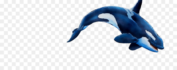 dolphin,cobalt blue,blue,beak,cobalt,animal,marine mammal,killer whale,cetacea,common dolphins,common bottlenose dolphin,animal figure,tail,fictional character,png