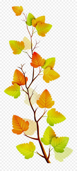 twig,leaf,plant stem,deciduous,flowering plant,orange sa,plants,branch,flower,yellow,plant,botany,tree,beech,png
