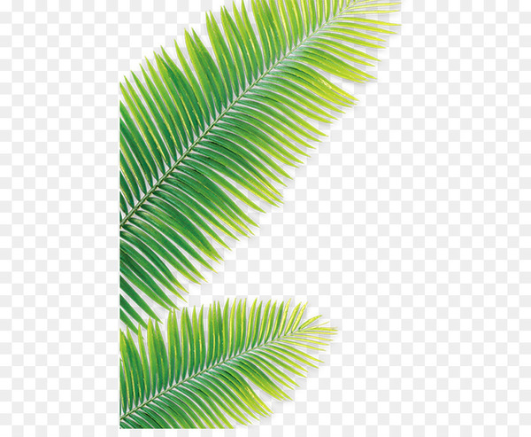 A Vector Illustration For A Malay Style Coconut Leaves House, Old Fashion  Royalty Free SVG, Cliparts, Vectors, and Stock Illustration. Image 2145459.
