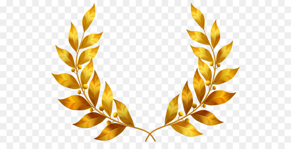 gold leaf,bay laurel,gold,laurel wreath,leaf,autumn leaf color,wreath,encapsulated postscript,picture frame,png