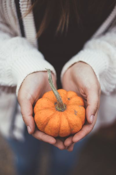 sawyergrace,woman,girl,thanksgiving,fall,leafe,autumn,fall,leafe,pumpkin,present,holding,holding pumpkin,hand,nature,stem,latte,chai,spice,patch,field,free images