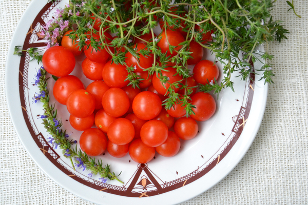 cc0,c1,tomatoes,small,vegetables,salad,harvesting,food,vegetarianism,nutrition,greenhouse,red,dacha,diet,taste,greens,spice,elitexpo,harvest,free photos,royalty free