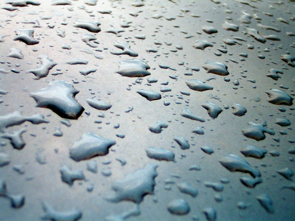water,drop,drops,rain,moisture,texture,textures,background,backgrounds,wallpaper,wallpapers