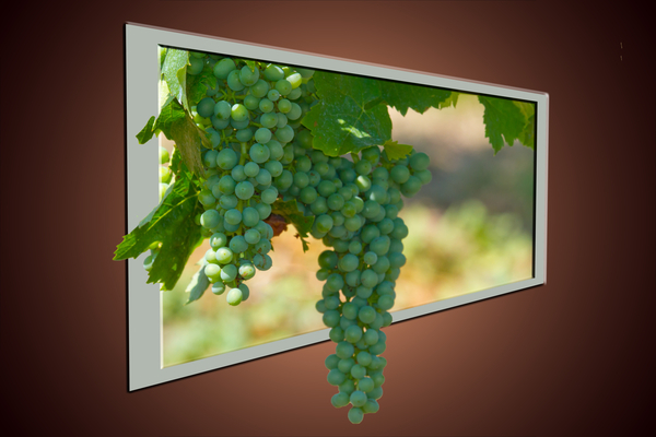 cc0,c1,wine,grapes,fruit,vine,winegrowing,autumn,wine leaf,plant,picture frame,frame,free photos,royalty free