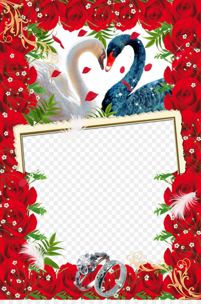 wedding,photography,wedding photography,template,photograph album,picture frame,download,floral design,album,designer,contemporary western wedding dress,heart,christmas decoration,flora,love,petal,tree,christmas ornament,valentine s day,flower,fir,art,holiday,christmas,flowering plant,png