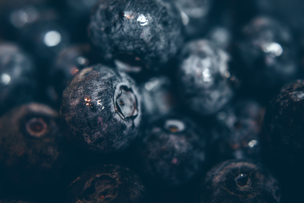 antioxidant,berries,blueberries,blueberry,close-up,color,dark,delicious,eating healthy,food,fresh,fresh fruit,fresh produce,freshness,fruits,health,healthy,healthy food,juicy,refreshment,round,sweet,tasty,Free Stock Photo