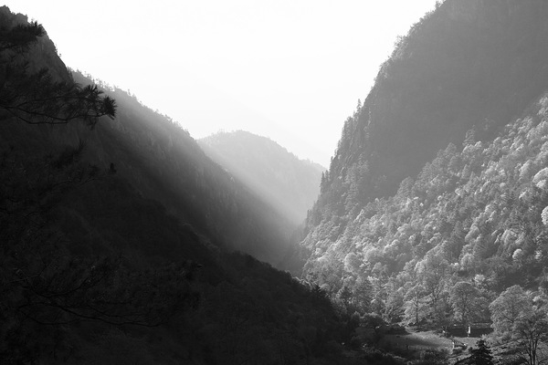 black and white,hills,mountains,trees,nature,sky,grey,valley