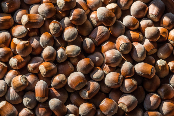 batch,close-up,dry,food,nuts,pattern,pile,texture,Free Stock Photo