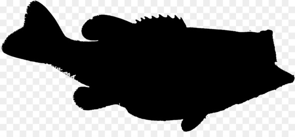 conch,seashell,silhouette,photography,art,public domain,black,conchology,shadow,monochrome,person,fish,blackandwhite,tail,png