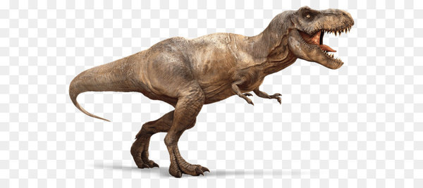 tyrannosaurus,velociraptor,triceratops,pachycephalosaurus,dinosaur,theropods,indominus rex,jurassic park,cretaceous,coelurosauria,animatronics,carnivore,isla nublar,fossil,jurassic world,terrestrial animal,organism,png